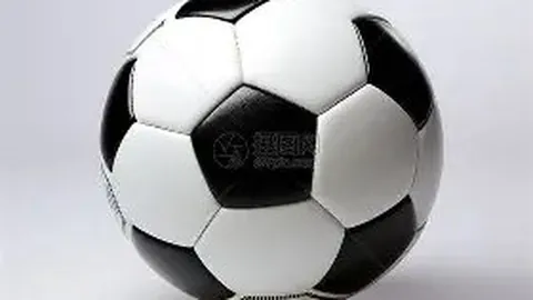 PA真人 产品 083050 fyp