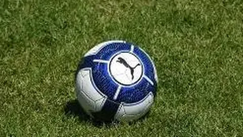 张恒与前女友郑爽关联企业被纳入失信执行名单