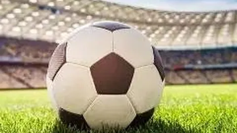 PA真人 产品 143137 esa