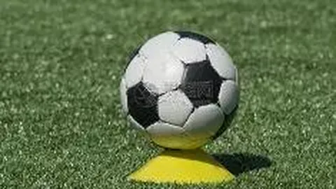 PA真人 资讯 102056 5ab