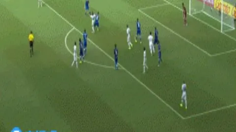 宝可梦冠军赛引争议：专家质合分析质疑典型宝可梦品质